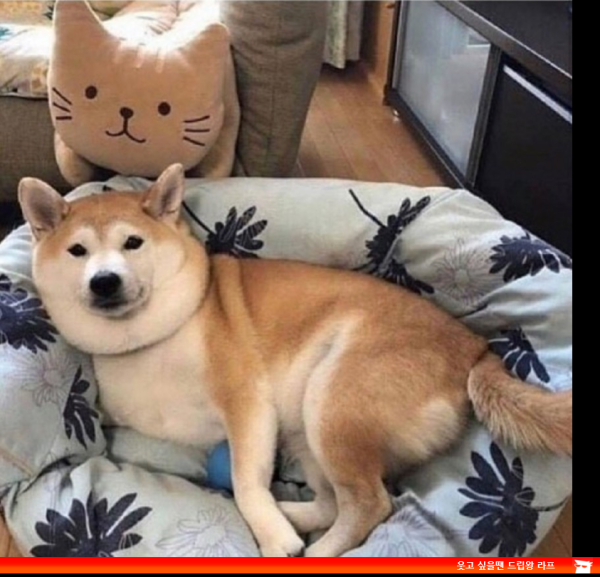 15551554694399.png
