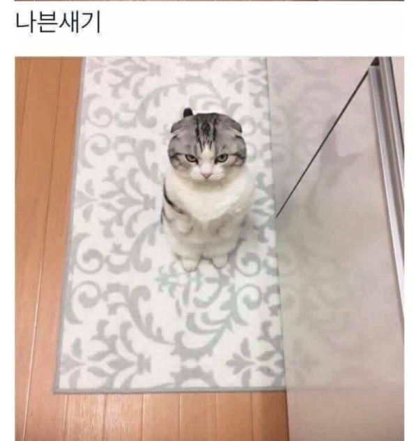 15592464619106.png